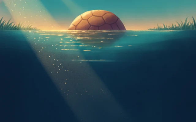 Seagrass Lagoon โ a turtle-shaped rock in calm turquoise water.